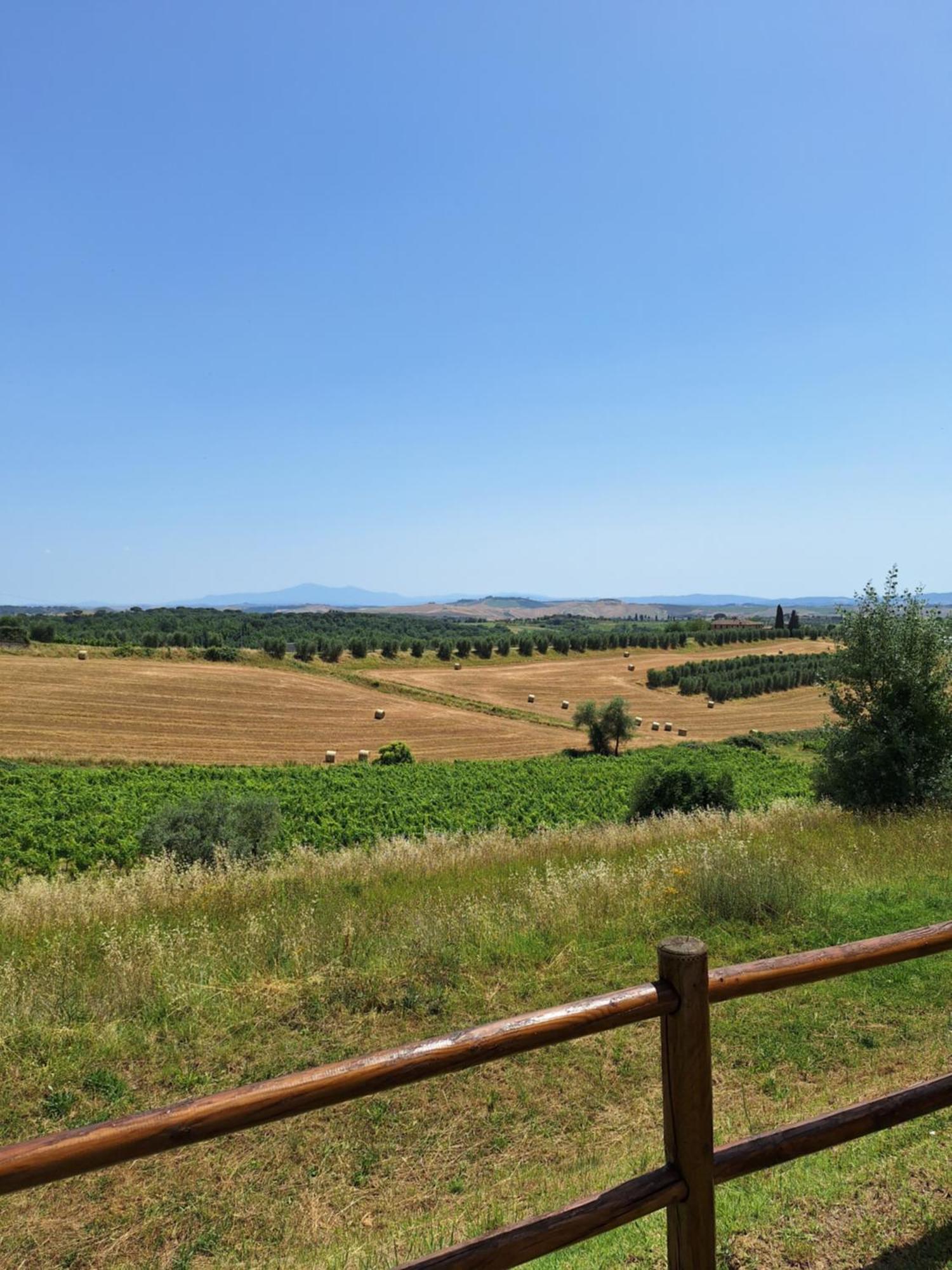 Casa Paola Nel Chianti Bed & Breakfast Castelnuovo Berardenga Bagian luar foto